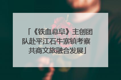 《铁血幕阜》主创团队赴平江石牛寨镇考察 共商文旅融合发展