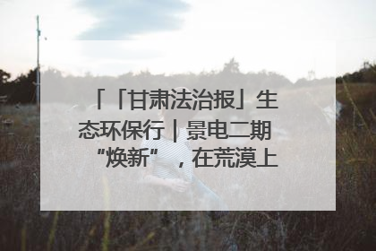「甘肃法治报」生态环保行｜景电二期“焕新”，在荒漠上筑起一道绿色长城