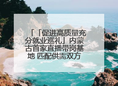 「促进高质量充分就业巡礼」内蒙古首家直播带岗基地 匹配供需双方 促进上岗就业
