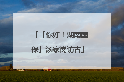 「你好！湖南国保」汤家岗访古