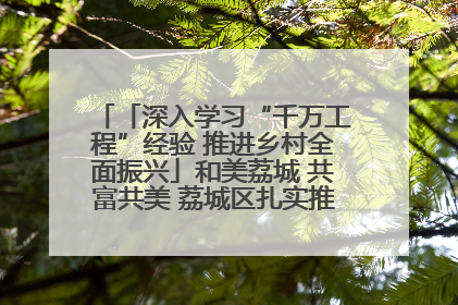 「深入学习“千万工程”经验 推进乡村全面振兴」和美荔城 共富共美 荔城区扎实推进乡村振兴工作