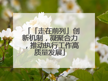 「走在前列」创新机制，凝聚合力，推动执行工作高质量发展