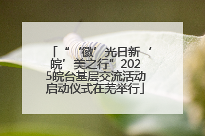 “‘徽’光日新‘皖’美之行”2025皖台基层交流活动启动仪式在芜举行