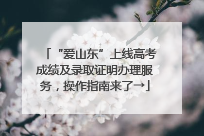 “爱山东”上线高考成绩及录取证明办理服务，操作指南来了→