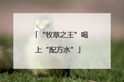 “牧草之王”喝上“配方水”