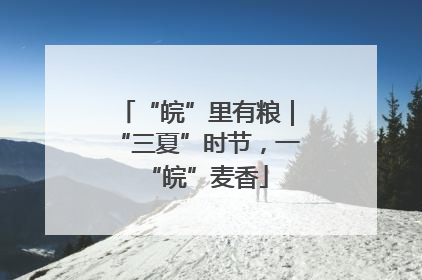 “皖”里有粮｜“三夏”时节，一“皖”麦香