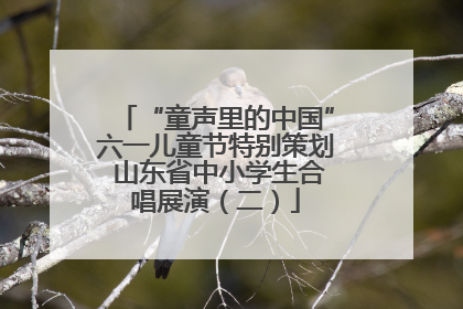 “童声里的中国”六一儿童节特别策划 山东省中小学生合唱展演（二）