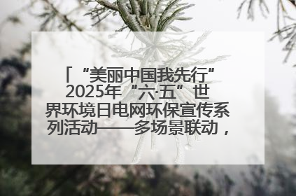 “美丽中国我先行” 2025年“六·五”世界环境日电网环保宣传系列活动——多场景联动，共筑生态发展新图景
