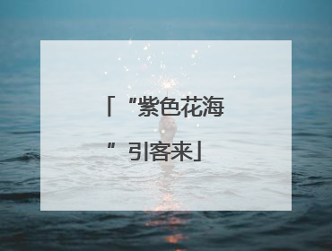 “紫色花海”引客来