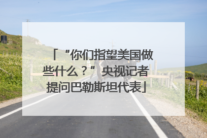 “你们指望美国做些什么？”央视记者提问巴勒斯坦代表