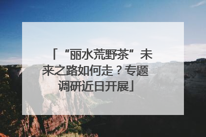 “丽水荒野茶”未来之路如何走？专题调研近日开展