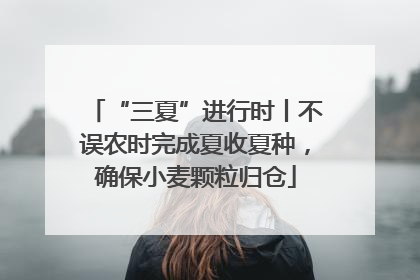 “三夏”进行时丨不误农时完成夏收夏种，确保小麦颗粒归仓