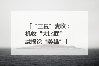 “三夏”麦收：机收“大比武” 减损论“英雄”