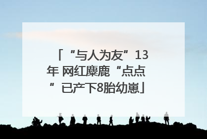 “与人为友”13年 网红麋鹿“点点”已产下8胎幼崽