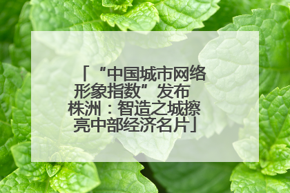 “中国城市网络形象指数”发布 株洲：智造之城擦亮中部经济名片