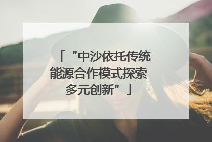 “中沙依托传统能源合作模式探索多元创新”
