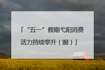 “五一”假期弋阳消费活力持续攀升（图）