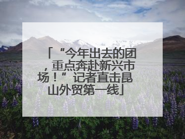 “今年出去的团，重点奔赴新兴市场！”记者直击昆山外贸第一线