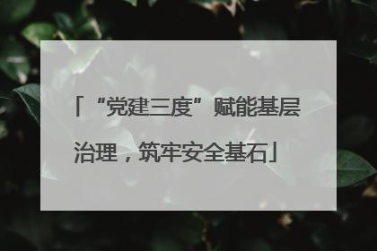 “党建三度”赋能基层治理，筑牢安全基石