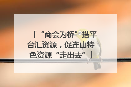 “商会为桥”搭平台汇资源，促连山特色资源“走出去”