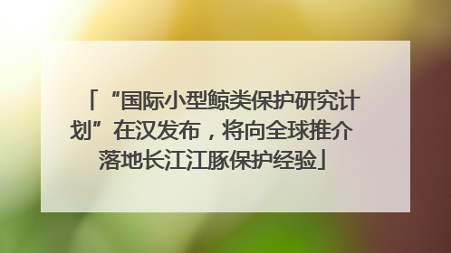 “国际小型鲸类保护研究计划”在汉发布，将向全球推介落地长江江豚保护经验