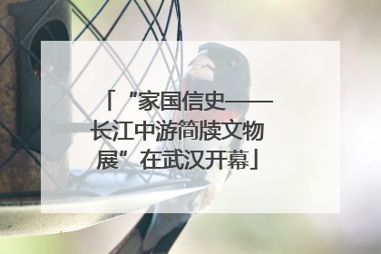 “家国信史——长江中游简牍文物展”在武汉开幕