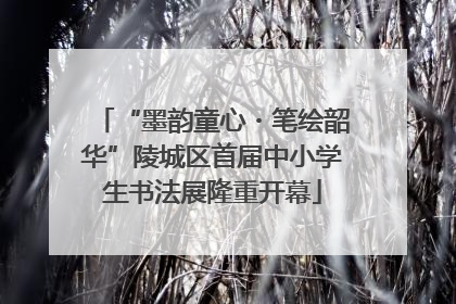 “墨韵童心・笔绘韶华”陵城区首届中小学生书法展隆重开幕
