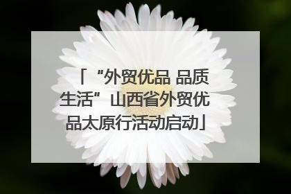 “外贸优品 品质生活”山西省外贸优品太原行活动启动