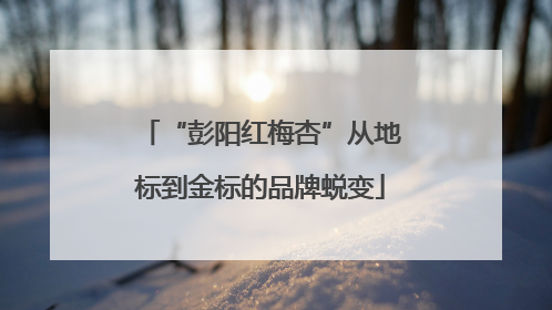 “彭阳红梅杏”从地标到金标的品牌蜕变