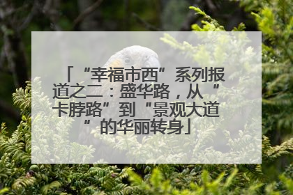 “幸福市西”系列报道之二：盛华路，从“卡脖路”到“景观大道”的华丽转身