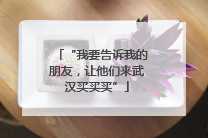 “我要告诉我的朋友，让他们来武汉买买买”