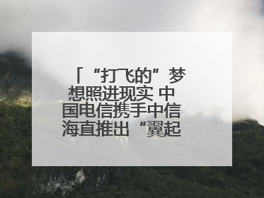 “打飞的”梦想照进现实 中国电信携手中信海直推出“翼起飞”空中旅游