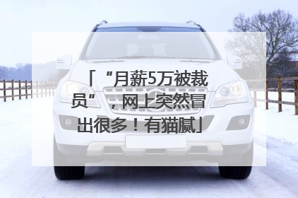 “月薪5万被裁员”，网上突然冒出很多！有猫腻