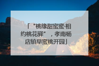 “桃缘甜蜜蜜·相约桃花驿”，孝南杨店镇早蜜桃开园