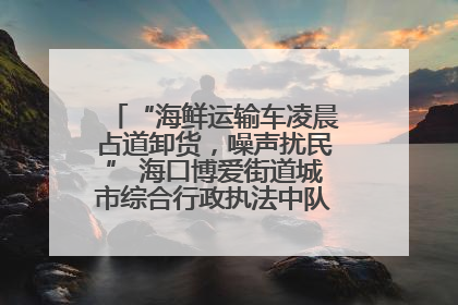“海鲜运输车凌晨占道卸货，噪声扰民” 海口博爱街道城市综合行政执法中队：将联合交警加强长堤路一带巡逻
