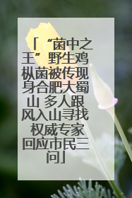 “菌中之王”野生鸡枞菌被传现身合肥大蜀山 多人跟风入山寻找 权威专家回应市民三问