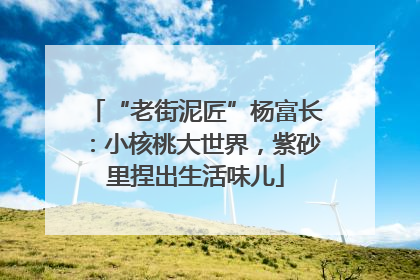 “老街泥匠”杨富长：小核桃大世界，紫砂里捏出生活味儿