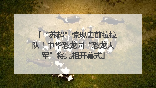 “苏超”惊现史前拉拉队！中华恐龙园“恐龙大军”将亮相开幕式