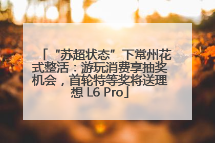 “苏超状态”下常州花式整活：游玩消费享抽奖机会，首轮特等奖将送理想 L6 Pro