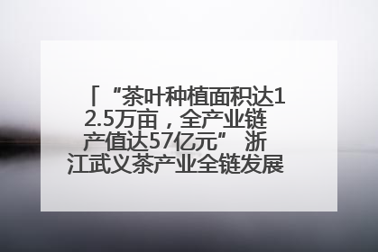 “茶叶种植面积达12.5万亩，全产业链产值达57亿元” 浙江武义茶产业全链发展“加速度”