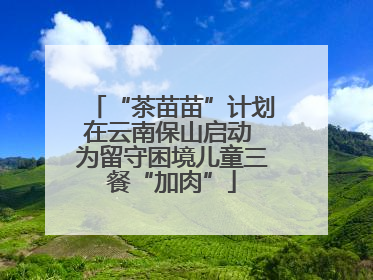 “茶苗苗”计划在云南保山启动 为留守困境儿童三餐“加肉”