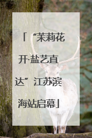 “茉莉花开·盐艺直达”江苏滨海站启幕