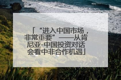 “进入中国市场，非常重要”——从肯尼亚-中国投资对话会看中非合作机遇