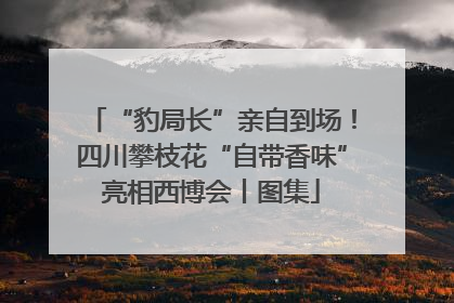 “豹局长”亲自到场！四川攀枝花“自带香味”亮相西博会丨图集