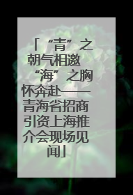 “青”之朝气相邀 “海”之胸怀奔赴——青海省招商引资上海推介会现场见闻