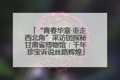 “青春华章·重走西北角”采访团探秘甘肃省博物馆：千年珍宝诉说丝路辉煌