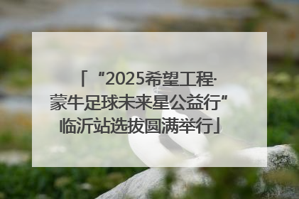 “2025希望工程·蒙牛足球未来星公益行”临沂站选拔圆满举行