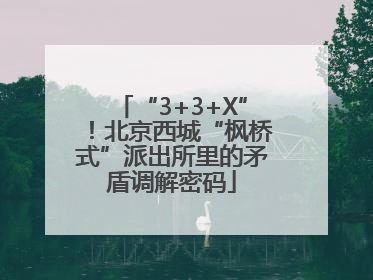 “3+3+X”！北京西城“枫桥式”派出所里的矛盾调解密码