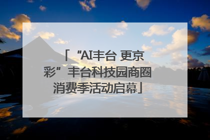 “AI丰台 更京彩”丰台科技园商圈消费季活动启幕