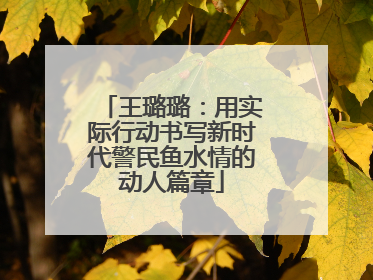 王璐璐：用实际行动书写新时代警民鱼水情的动人篇章